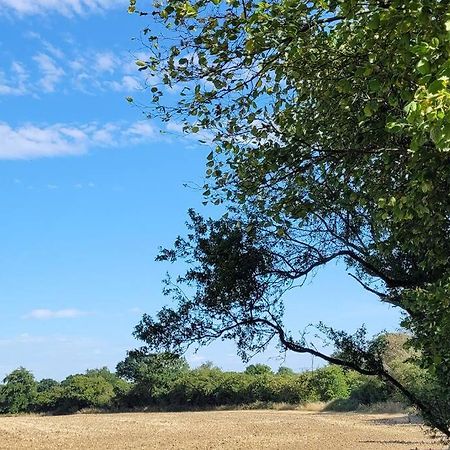 Entire 2 Bed Coach House In Peaceful Norfolk Village Pulham Екстер'єр фото